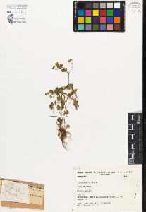 SW_BNB_s3080-02799_IMG-0000000001