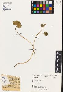 SW_BNB_s3080-02801_IMG-0000000001