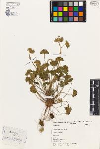 SW_BNB_s3080-02802_IMG-0000000001
