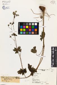 SW_BNB_s3080-02806_IMG-0000000001