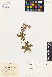 SW_BNB_s3080-02807_IMG-0000000001