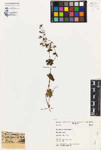 SW_BNB_s3080-02810_IMG-0000000001