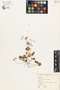 SW_BNB_s3080-02812_IMG-0000000001