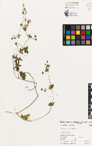 SW_BNB_s3080-02813_IMG-0000000001