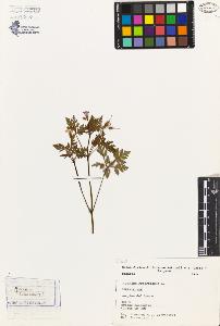 SW_BNB_s3080-02815_IMG-0000000001