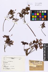SW_BNB_s3080-02816_IMG-0000000001