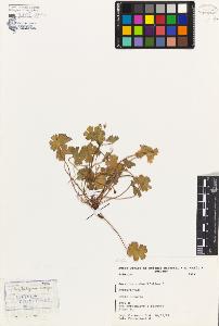 SW_BNB_s3080-02820_IMG-0000000001