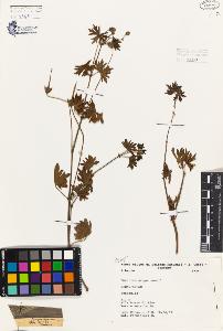 SW_BNB_s3080-02821_IMG-0000000001