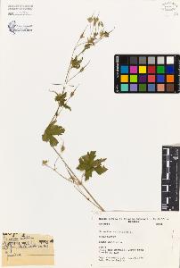 SW_BNB_s3080-02826_IMG-0000000001