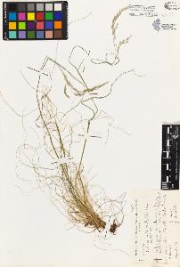 SW_BNB_s3080-02840_IMG-0000000001