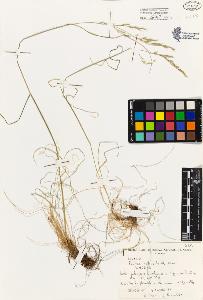 SW_BNB_s3080-02841_IMG-0000000001