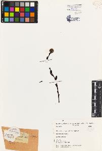 SW_BNB_s3080-02847_IMG-0000000001