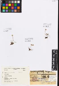 SW_BNB_s3080-02854_IMG-0000000001