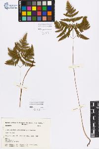 SW_BNB_s3080-02866_IMG-0000000001