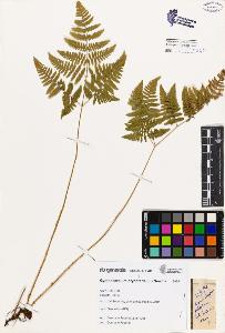 SW_BNB_s3080-02868_IMG-0000000001