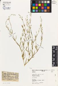 SW_BNB_s3080-02877_IMG-0000000001