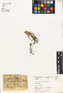 SW_BNB_s3080-02882_IMG-0000000001