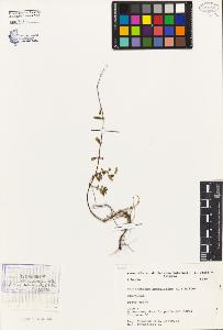 SW_BNB_s3080-02887_IMG-0000000001