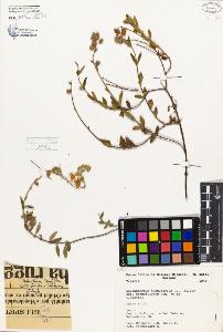 SW_BNB_s3080-02890_IMG-0000000001
