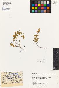 SW_BNB_s3080-02891_IMG-0000000001