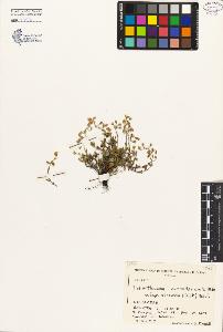 SW_BNB_s3080-02892_IMG-0000000001