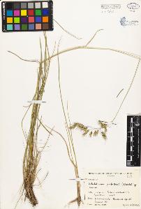 SW_BNB_s3080-02904_IMG-0000000001