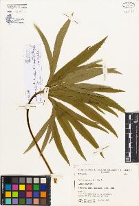 SW_BNB_s3080-02915_IMG-0000000001
