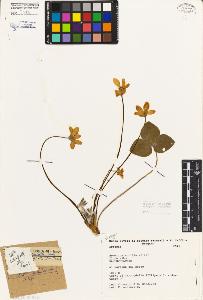 SW_BNB_s3080-02917_IMG-0000000001