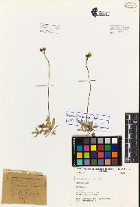 SW_BNB_s3080-02928_IMG-0000000001
