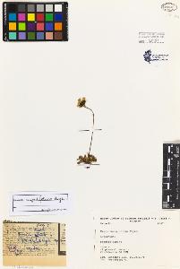 SW_BNB_s3080-02930_IMG-0000000001