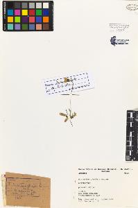 SW_BNB_s3080-02931_IMG-0000000001