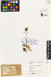 SW_BNB_s3080-02932_IMG-0000000001