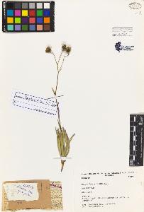 SW_BNB_s3080-02933_IMG-0000000001