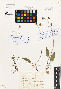 SW_BNB_s3080-02934_IMG-0000000001