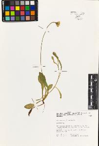 SW_BNB_s3080-02943_IMG-0000000001