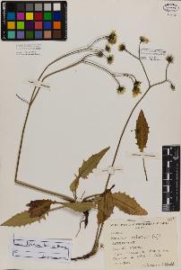 SW_BNB_s3080-02951_IMG-0000000001