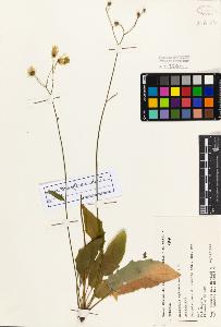 SW_BNB_s3080-02952_IMG-0000000001