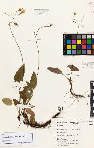SW_BNB_s3080-02954_IMG-0000000001