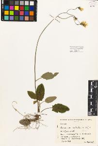 SW_BNB_s3080-02956_IMG-0000000001