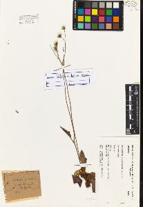 SW_BNB_s3080-02957_IMG-0000000001