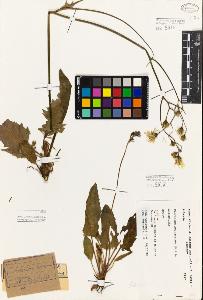 SW_BNB_s3080-02959_IMG-0000000001