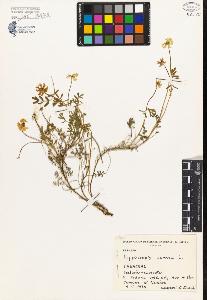SW_BNB_s3080-02972_IMG-0000000001