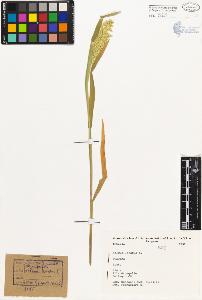 SW_BNB_s3080-02977_IMG-0000000001