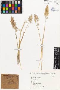 SW_BNB_s3080-02978_IMG-0000000001