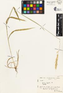 SW_BNB_s3080-02980_IMG-0000000001