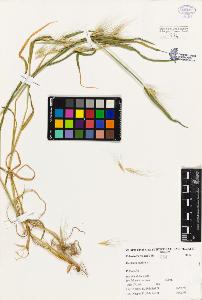SW_BNB_s3080-02988_IMG-0000000001