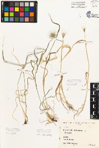 SW_BNB_s3080-02989_IMG-0000000001