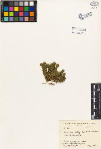 SW_BNB_s3080-02994_IMG-0000000001