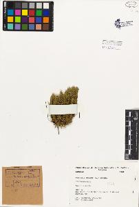 SW_BNB_s3080-02996_IMG-0000000001
