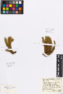 SW_BNB_s3080-03000_IMG-0000000001